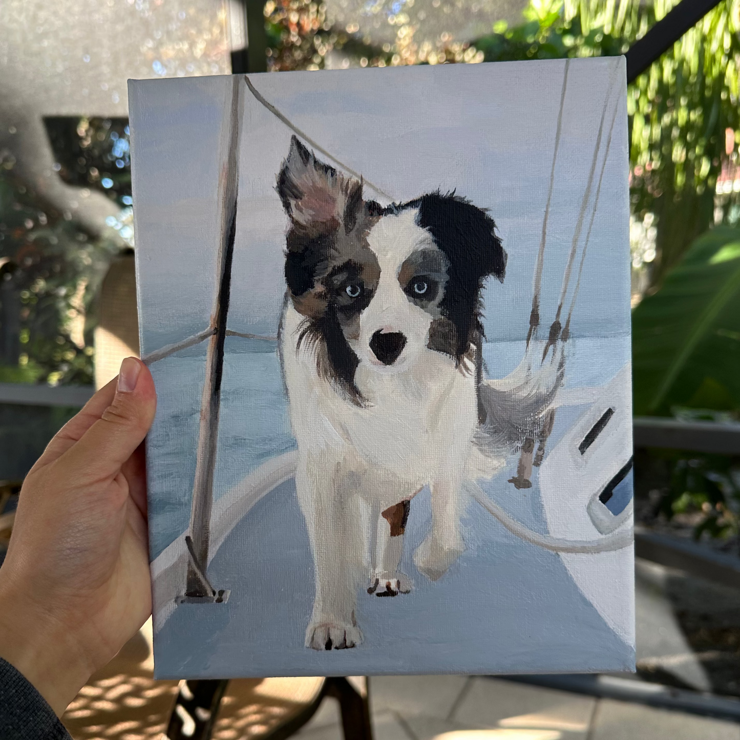 ✨ Pet Portraits ✨